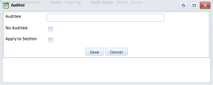 Auditee_Details_Blank6.png