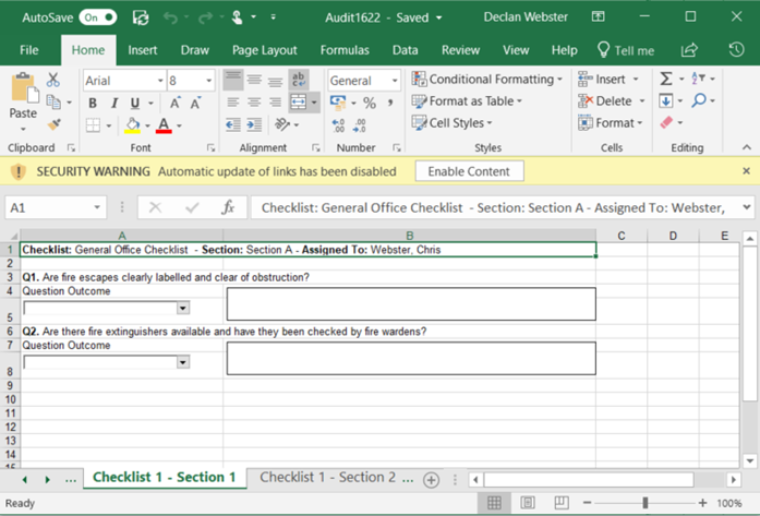 Audit_Record_Excel2.png